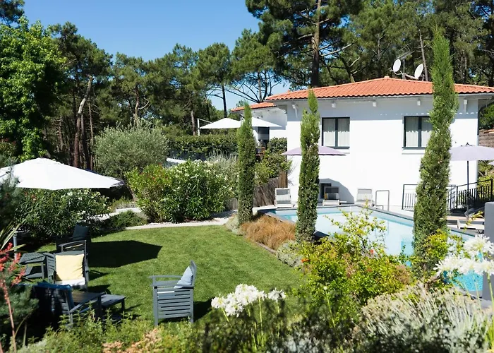 Ferret Vigne - Villa Chambres d'Hôtes